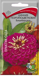 Цинния_Волшебная роза_0,4_г._Поиск