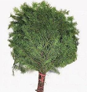 Веник ПИХТА ПРЕМИУМ