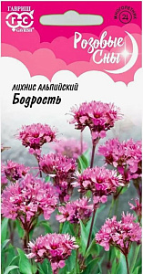 Лихнис_Бодрость (Розовые сны)_0,05_г._Гавриш