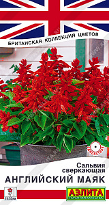 Сальвия_Английский Маяк (Британская Коллекция)_7_шт._Аэлита