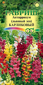 Гелихризум (бессмертник)_Махровый см_0,3_г._Поиск