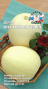 Дыня_Мускатная белая ран_0,5_г._Седек