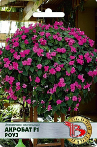 Бальзамин_Акробат Роуз F1 (амп)_0,04_шт._Биотехника