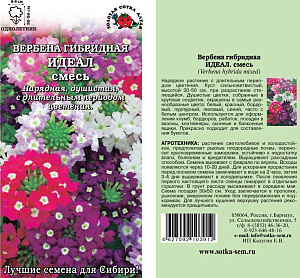 Вербена_Идеал см (гибридная)_0,1_г._Золотая Сотка Алтая