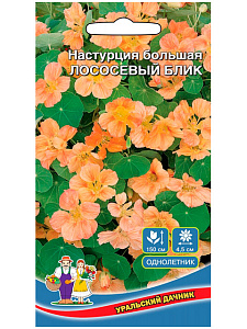 Настурция_Лососевый блик_1_г._Поиск