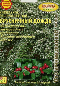 Кизильник_Брусничный дождь распростертый б/ф_0,2_г._Аэлита Э