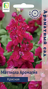 Левкой (маттиола)_Аромагия Красная (Ароматный сад)_0,04_г._Поиск