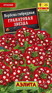 Вербена_Гранатовая звезда_0,1_г._Аэлита