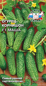 Огурец_Маша F1_0,2_г._Седек