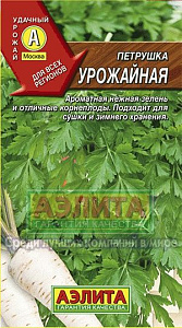 Петрушка_Урожайная (корневая)_2_г._Аэлита