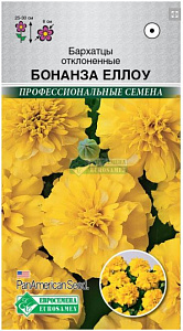 Бархатцы (тагетис)_Бонанза Еллоу (Профессиональные семена)_10_шт._Евросемена