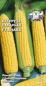 Кукуруза_Анава F1 сахарн_4_г._Седек