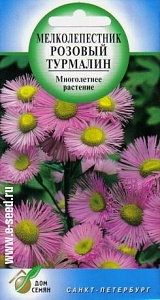 Эригерон (мелколепестник)_Розовый_80_шт._Дом Семян С-П