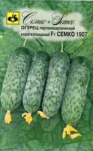 Огурец_Семко 1907 F1_10_шт._Семко