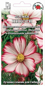Космея_Пикоти_0,04_г._Золотая Сотка Алтая