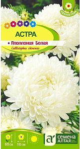 Астра_Аполлония Белая_0,2_г._Семена Алтая