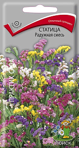 Статица (лимониум)_Радужная см_0,1_г._Поиск