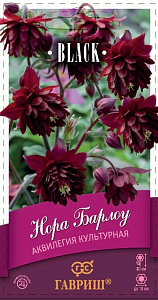 Аквилегия (водосбор)_Нора Барлоу Black (махровая)_7_шт._Гавриш