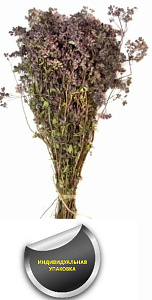 Трава-запарник ДУШИЦА (в упаковке)