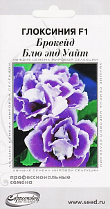 Глоксиния_Брокейд Блю энд Уайт (profi) (махр)_5_шт._Дом Семян С-П