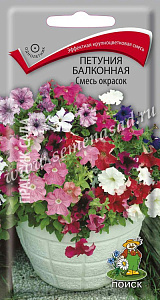 Петуния_Балконная см_0,1_г._Поиск