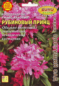 Рододендрон_Рубиновый принц_0_г._Аэлита Э