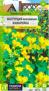 Настурция_Иноземная Канарейка (Вьющиеся растения)_0,7_г._Семена Алтая