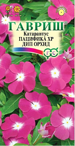 Катарантус (барвинок)_Пацифика ХР Дип Орхид_5_шт._Гавриш