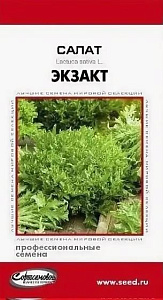 Салат_Экзакт (profi)_0,04_шт._Дом Семян С-П