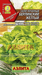 Салат_Берлинский Желтый (кочан)_0,5_г._Аэлита