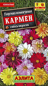 Георгин_Кармен см_10_шт._Аэлита