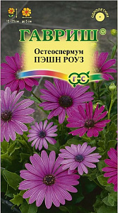 Остеоспермум (маргаритка капская)_Пэшн Роуз_3_шт._Гавриш