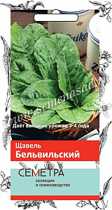 Щавель_Бельвильский (Семетра)_1_г._Поиск