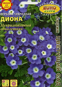 Вербена_Диона_0_г._Аэлита Э