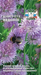Лук_Медонос шнитт (многолетний)_0,04_г._Седек