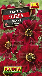 Георгин_Опера красная_7_шт._Аэлита