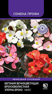 Бегония_Этерна Бронз Микс (профи) (вечноцв)_10_шт._Поиск