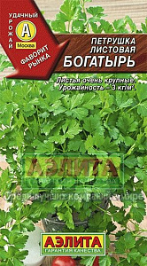 Петрушка_Богатырь_2_г._Аэлита