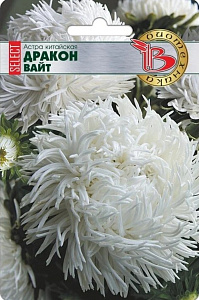 Астра_Дракон Селект Вайт (хризантемовидная)_30_шт._Биотехника