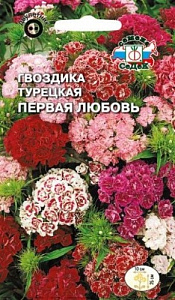 Гвоздика_Первая любовь карлик махр см (турецкая)_0,3_г._Седек