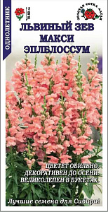 Львиный зев (антирринум)_Макси Эплблоссум_0,1_г._Золотая Сотка Алтая