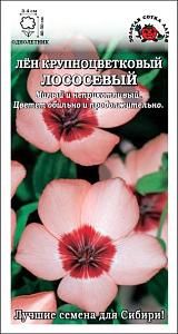 Лен_Лососевый (крупноцветковый)_0,1_г._Золотая Сотка Алтая