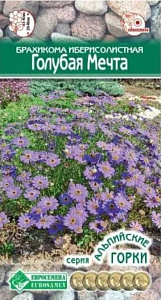 Брахикома_Голубая мечта (Альпийская Горка)_0,02_г._Евросемена