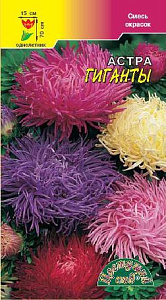 Астра_Гиганты см (хризантемовидная)_0,2_г._Цветущий Сад