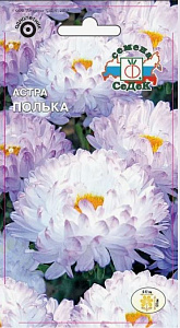 Астра_Полька (пионовидная, бело-голубая)_0,25_г._Седек
