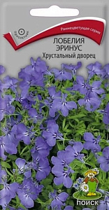 Лобелия_Хрустальный Дворец_0,1_г._Поиск