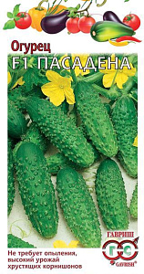 Огурец_Пасадена F1_0,3_г._Гавриш