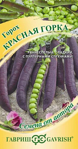 Горох_Красная горка_0,04_г._Гавриш