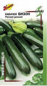 Кабачок_Бизон_13_шт._Дом Семян С-П