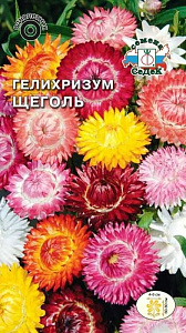 Гелихризум (бессмертник)_Щеголь см_0,04_г._Седек